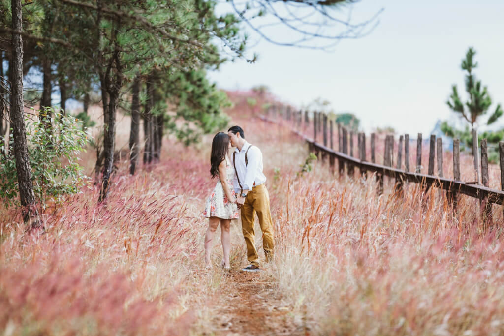 Couple kissing in a grassy field, showing love and connection in a relationship.